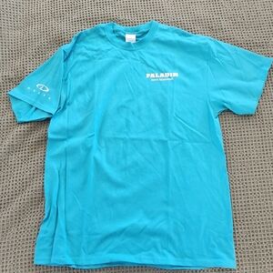 Delta Paladin 2020-2021 Graphic Tee | Men's Large